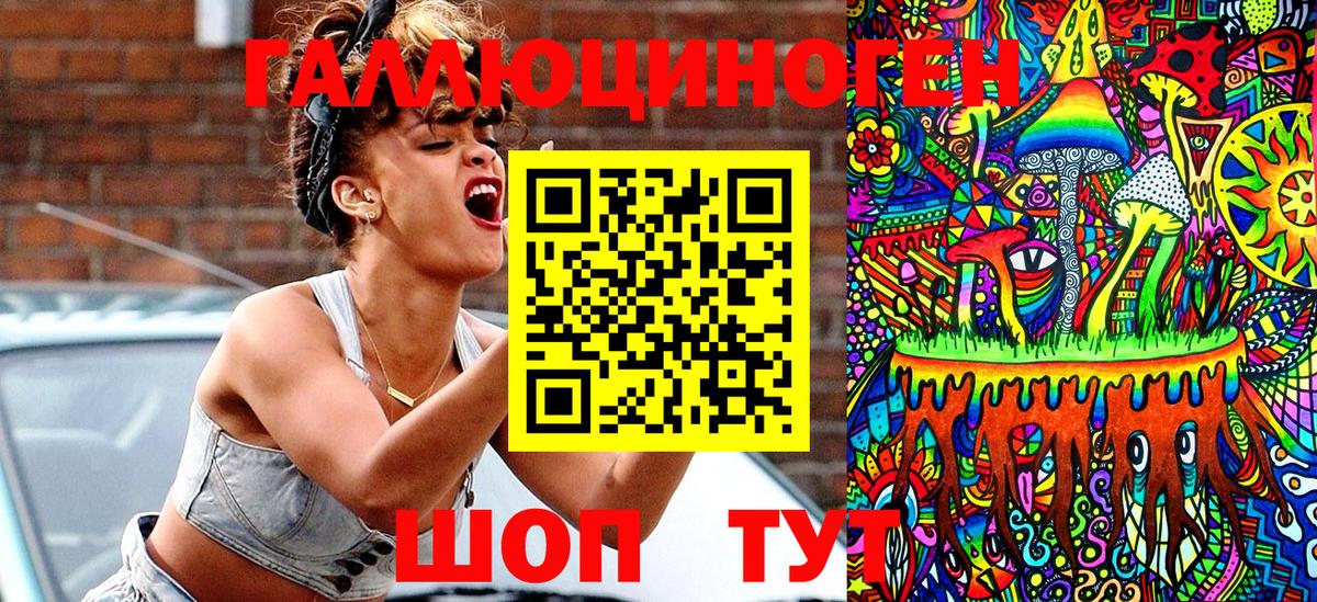 Псилоцибиновые грибы Psilocybe Советская Гавань
